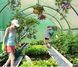Теплиця садова Holla Garden 6 м&sup2; (3x2x2 м), міцний дачний парник із оцинкованого металу та ПЕ-плівки, Польща P0021(7) фото 3